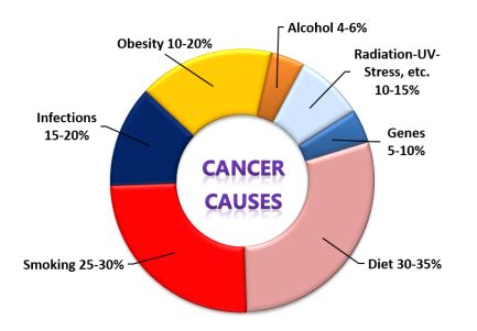 Causes of Cancer