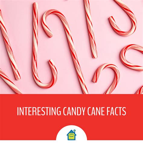 Candy Cane Fun Facts Image 6