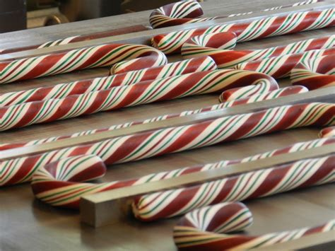 A candy cane being used in a holiday tradition