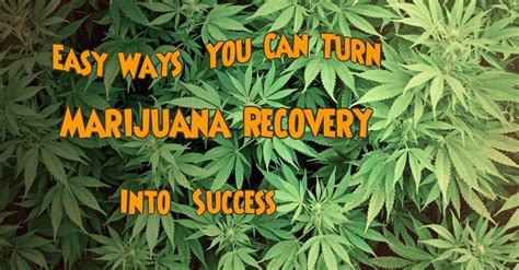 Cannabis recovery process