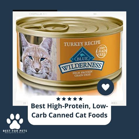 Canned cat food