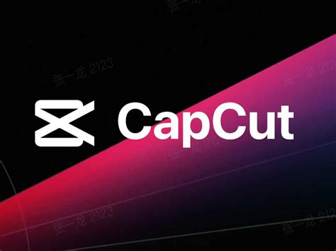 Capcut Business Template