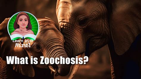 Captive Animals Suffering from Zoochosis