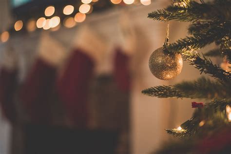 A family of five snuggled up together on the couch, surrounded by Christmas decorations