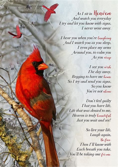 Cardinal Bird Perched on a Branch