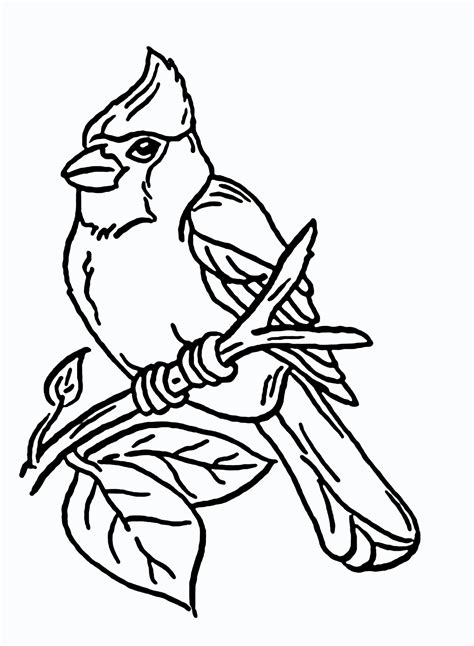 Cardinal coloring page benefits for kids