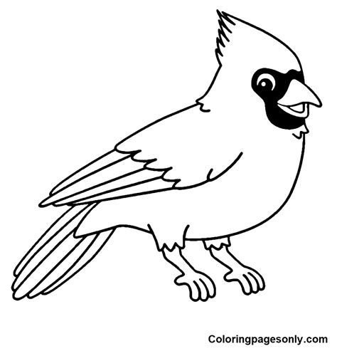 Choosing the right cardinal coloring page