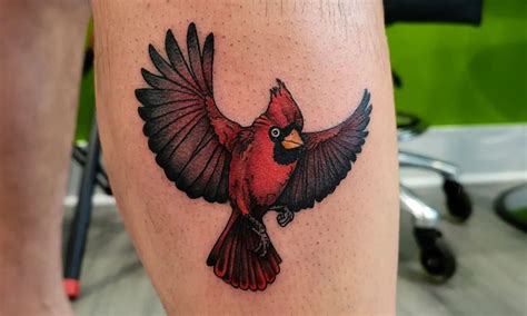 Cardinal tattoo FAQs