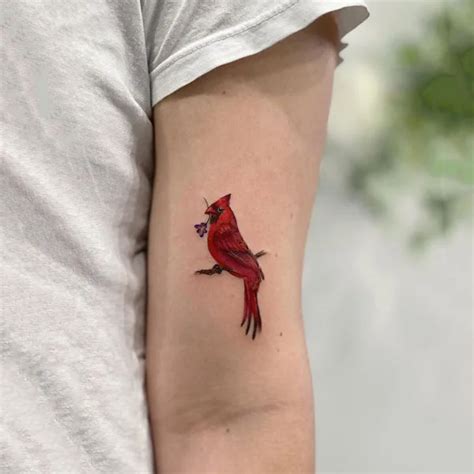 Cardinal tattoo maintenance is vital