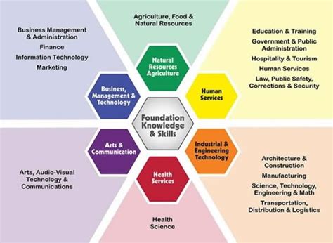 Career Paths for Business Administration Grads