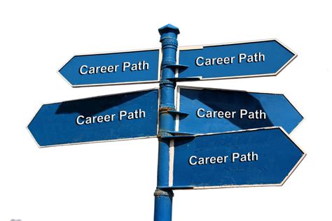 Career Paths