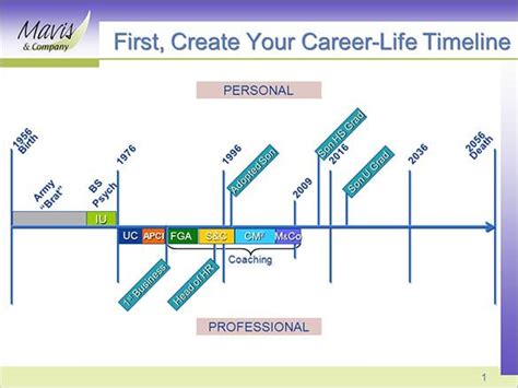 Career Timeline Example 8