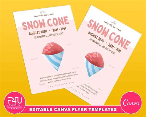 Carnival Delights Snow Cone Flyer Template Designs