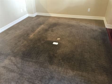 Professional Carpet Cleaning Services