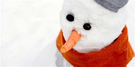 Carrot nose crown