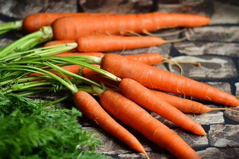 Carrots for dogs