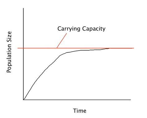 Carrying capacity concept illustration