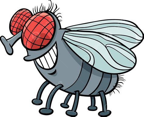 Cartoon Fly Drawing