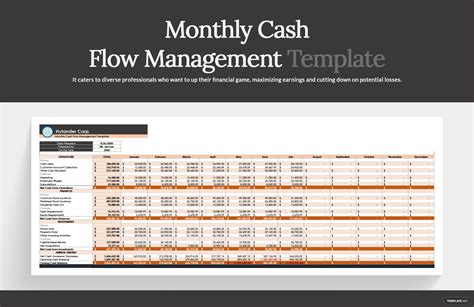 Cash Flow Management Template