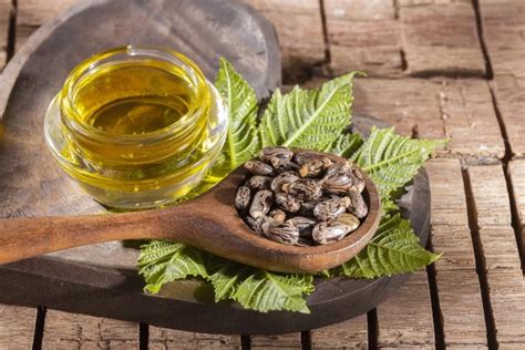 Castor Oil Conclusion