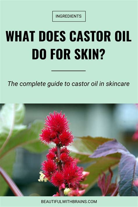 Castor Oil Skin Benefits