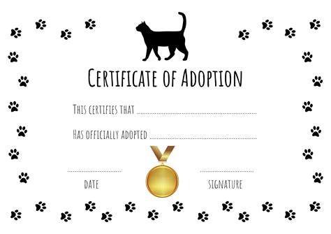 Cat adoption certificate with cute kitten