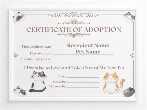 Cat adoption template with colorful design