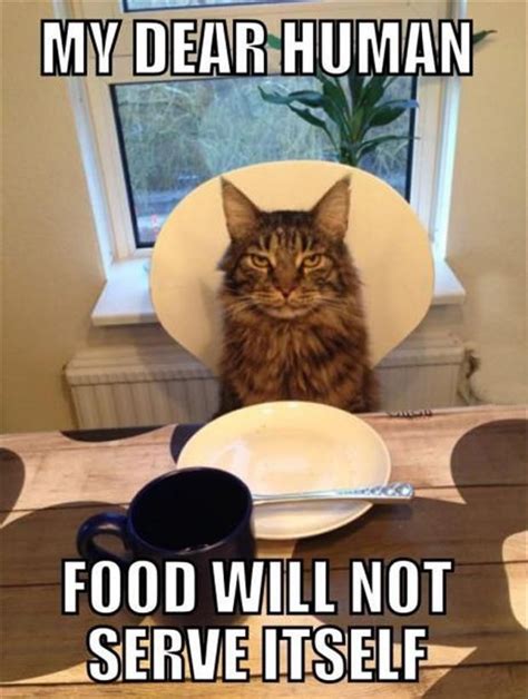 Cat at Dinner Table Meme Template 3