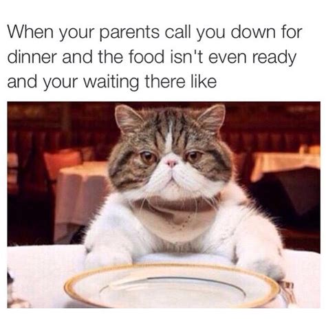 Cat at Dinner Table Meme Template