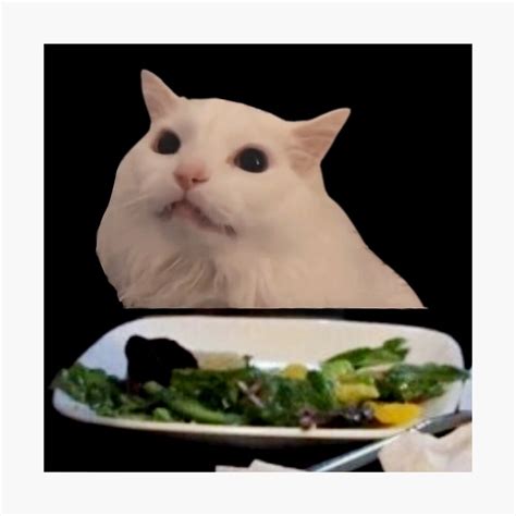 Cat at Dinner Table Meme Template 7