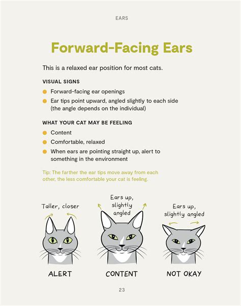 Cat Ear Inspiration 8