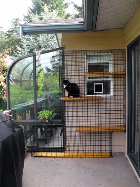 Cat enclosures