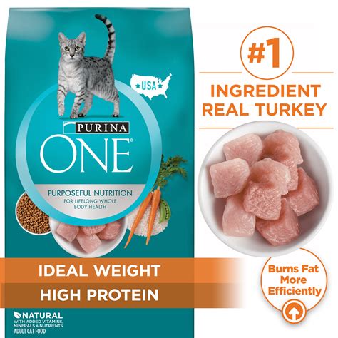 Cat food options on a shelf