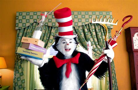 Cat in the Hat Photography