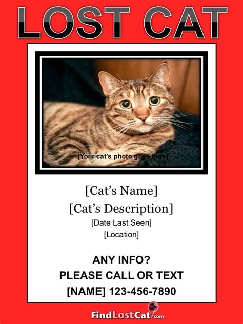 Cat Lost Poster Template