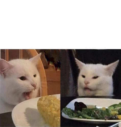 Cat Meme Template Generator 2