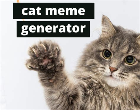 Cat Meme Template Generator