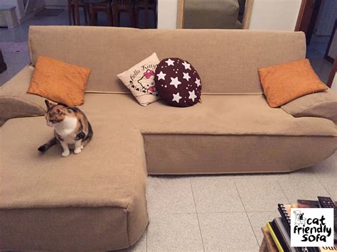 Cat proof furniture