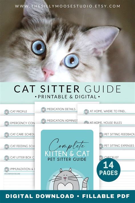 cat sitting instructions pdf