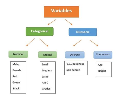 Categorical Variables vs Numerical Variables