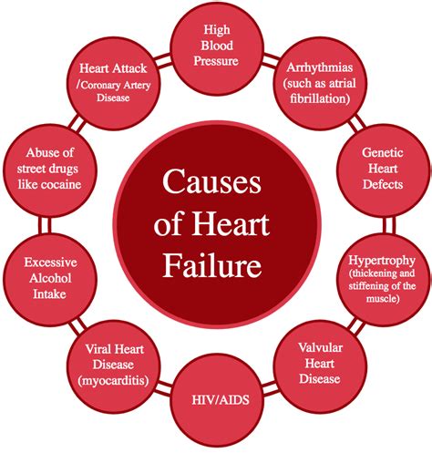 Causes of Heart Failure