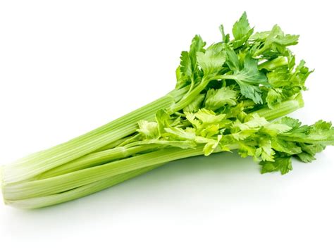 Image of Celery