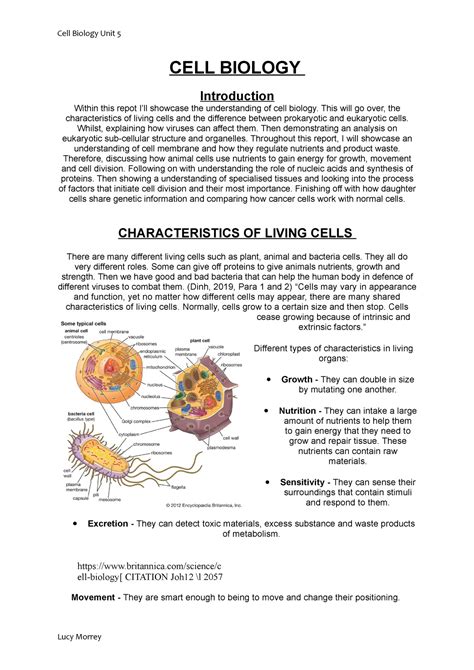 Cell A Assignment Example