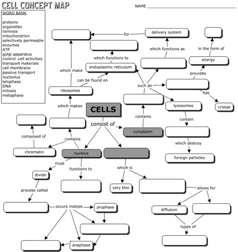 Cell A Concept Map Example