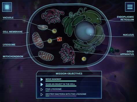 Cell A Simulation Example