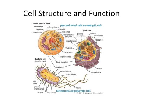 Using the CELL function to count colors in Excel