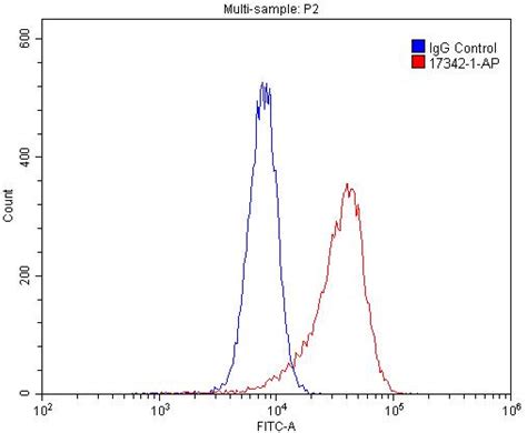 Cell Selection in Sheets