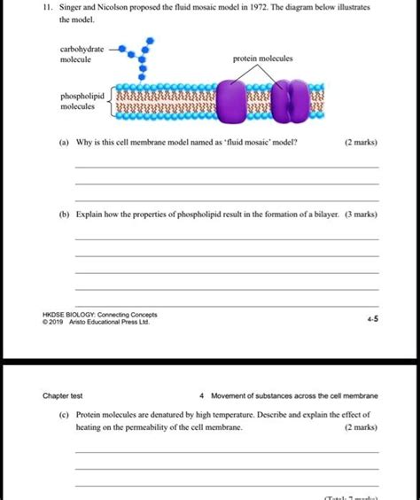 Cells Property