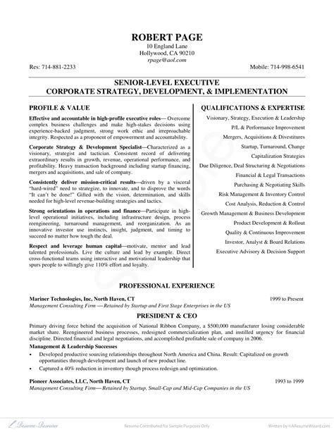 CEO Resume Template Word Example