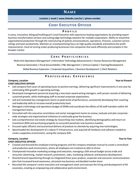 CEO Resume Template Word Sample 5